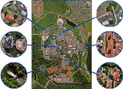 WDW_MK_Large.jpg (185976 bytes)