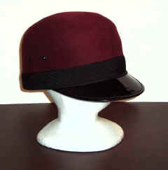 monorail hat 01.jpg (83023 bytes)